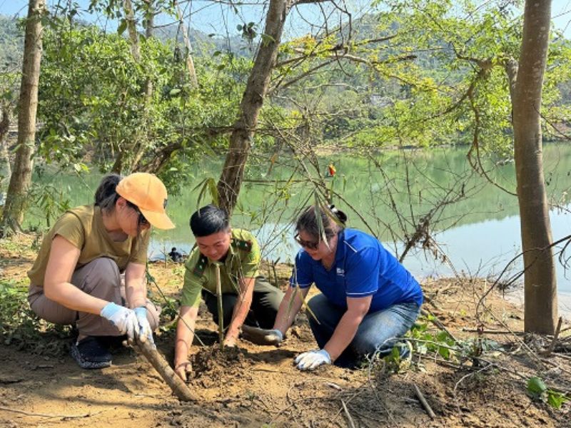 tap-doan-adg-tai-tro-cay-giong-chong-lu-tai-nghe-an-2