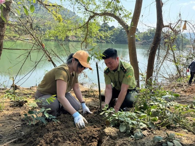 tap-doan-adg-tai-tro-cay-giong-chong-lu-tai-nghe-an-3